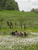 Peter Heel, Kostprobe III - Frühjahrspicknik